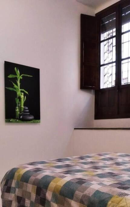 Disfruta De La Historica Cordoba Apartment Luaran gambar